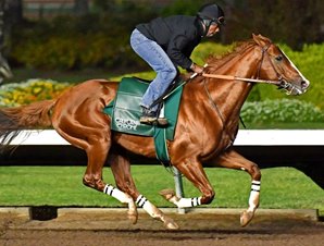 20170105_california_chrome
