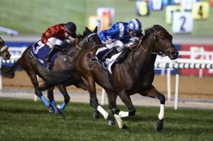 20170105_ertijaal_ire