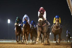 20170105_le-bernardin