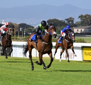 20170107_legal_eagle