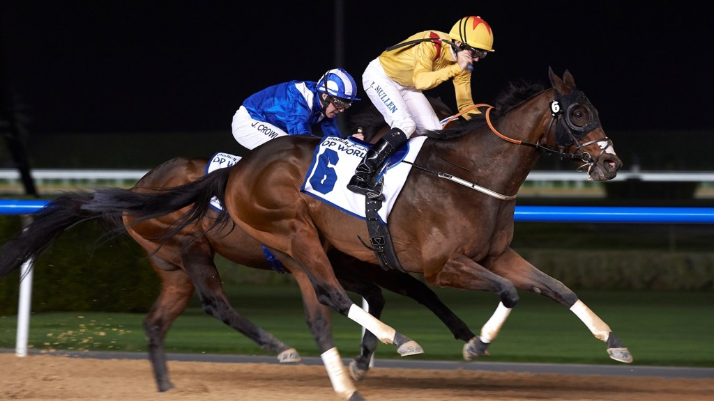 20170112_reynaldothewizard