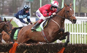 20170121_the_new_one