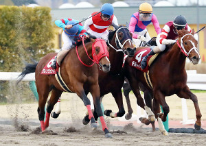20170122_グレンツェント