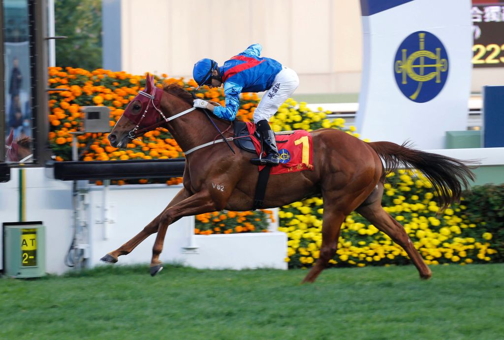 20170122_rapper_dragon