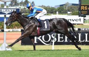 20170128_music_magnate