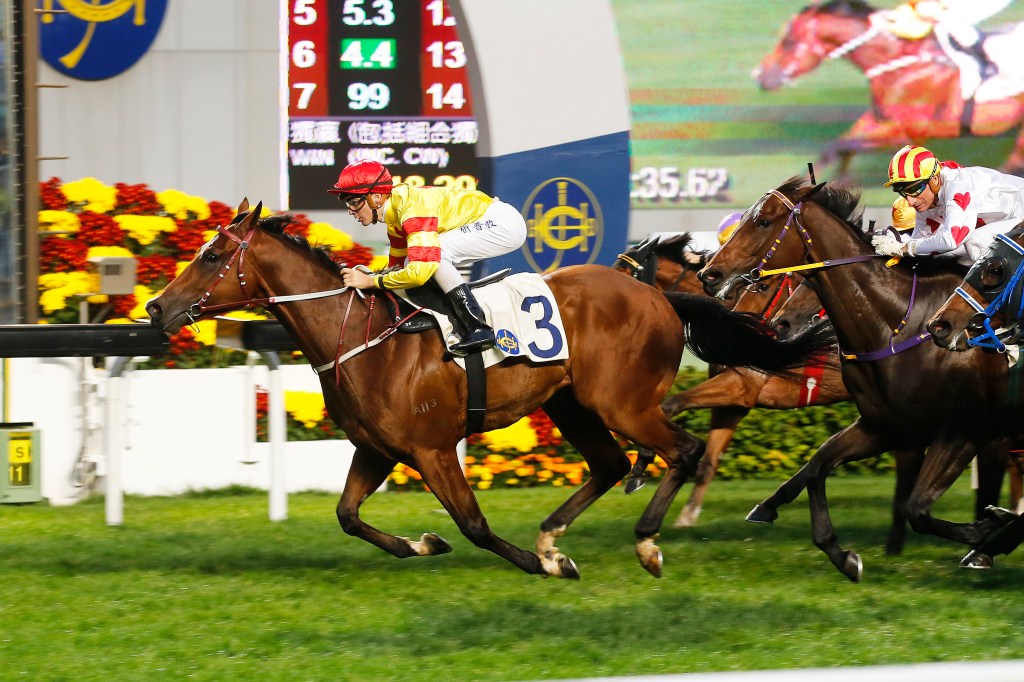 20170130_booming_delight