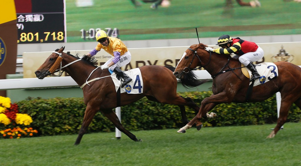 20170130_peniaphobia