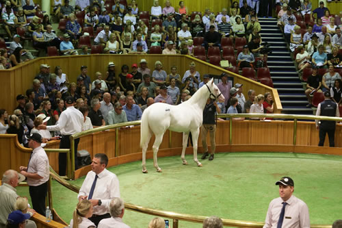 20170131_the_opera_house_2015