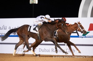 20170202_furia_cruzada