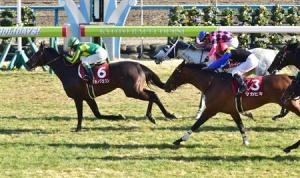 20170212_satono_crown