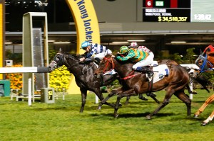 20170215_packing_pins