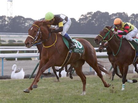 [Flameracing]香港國際賽事馬匹最終介紹，短途馬盡力一戰唐吉快跑