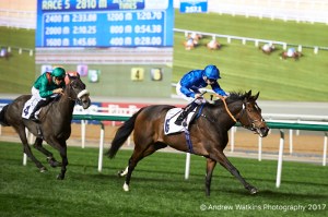 20170223_-beautiful_romance