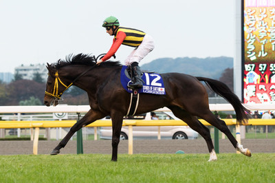 最強兩勝馬萬籟爭鳴離世