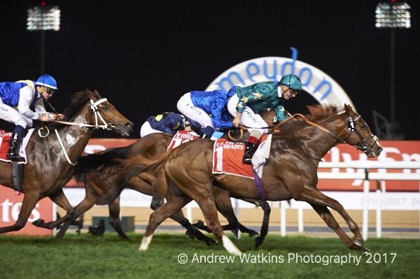 20170304_decorated_knight