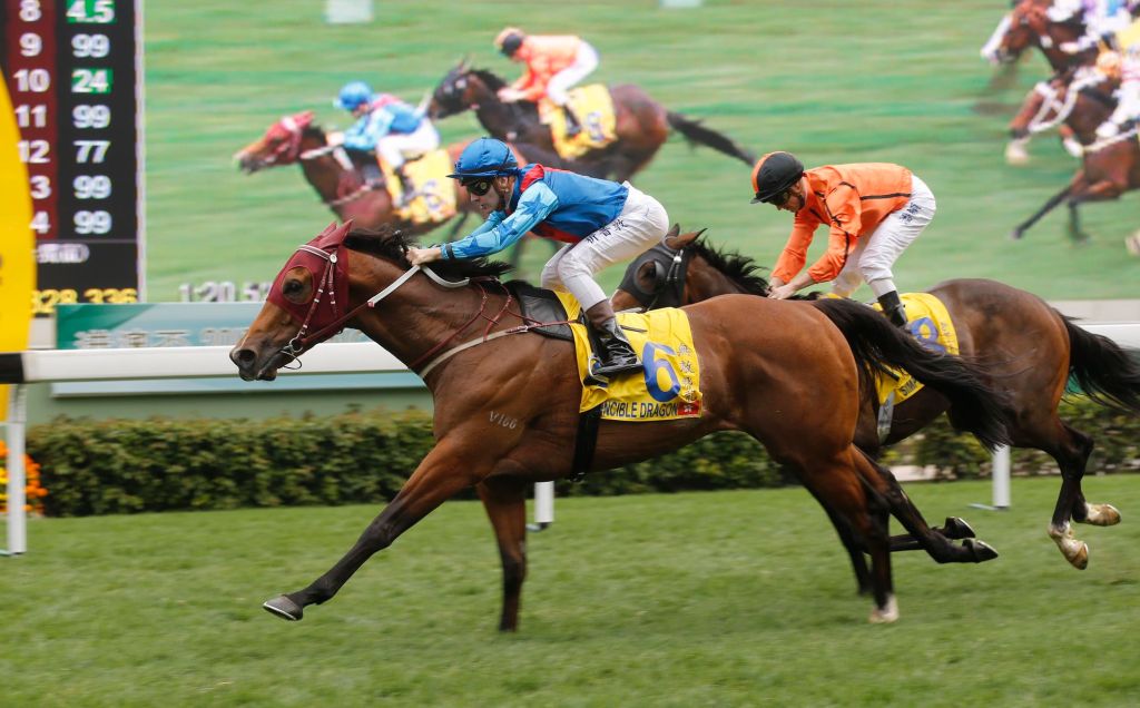 20170305_invincible_dragon