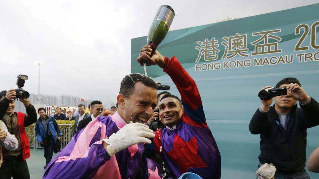 每日賽馬晚報（2022年11月29日），田泰安及時復出但浪漫勇士不用想，三匹香港短途錦標日本馬最後備戰狀況