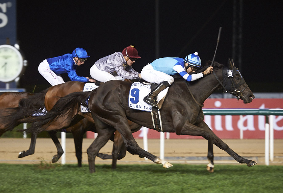 [Flameracing]日本杜拜兵團能夠形成嗎？