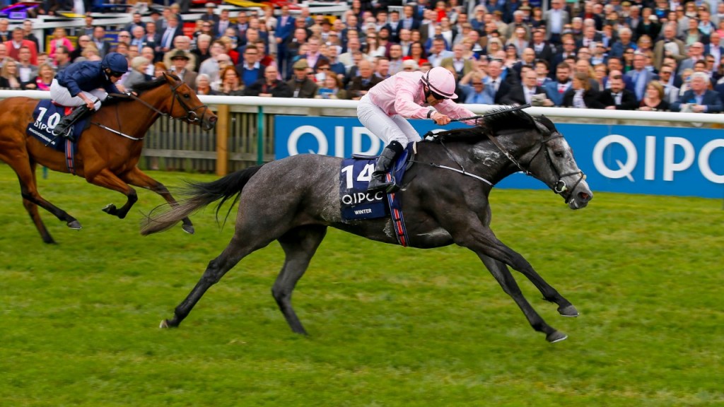 [Flameracing]一千堅尼錦標，Winter看準機會擊敗大熱取勝