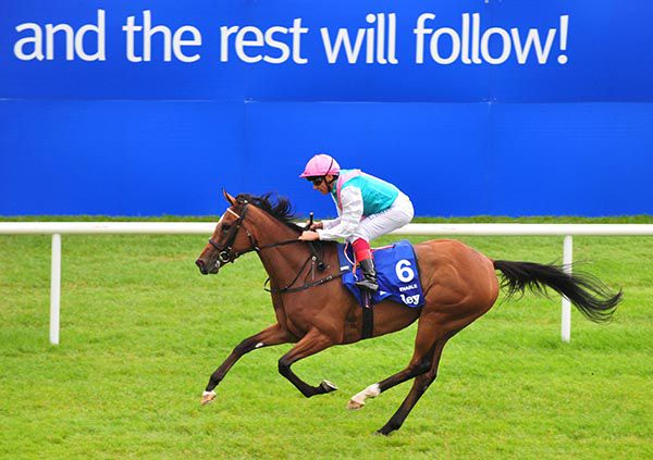 [快訊]成全寶已經宣佈退役（更新）