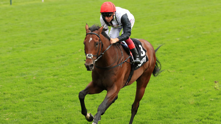 [Flameracing]冠軍錦標各駒簡評