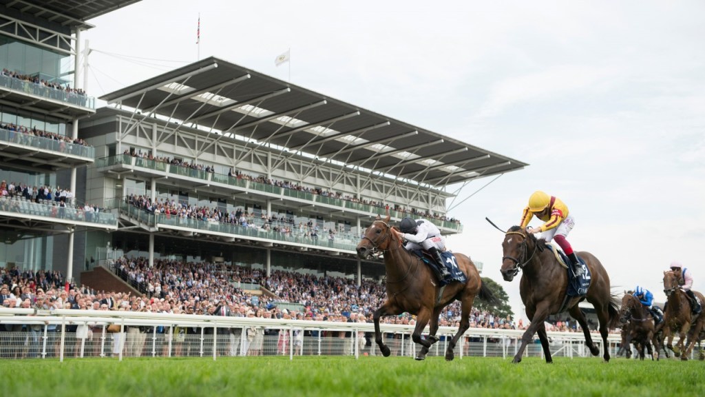 [Flameracing]楠索普錦標，戴圖理以為自己贏，結果卻是天將瑪莎先過終點