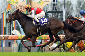 每日賽馬晚報（2020年12月15日），迪雅卓與天文學家交配，澳洲媒體關注川河達駒受傷