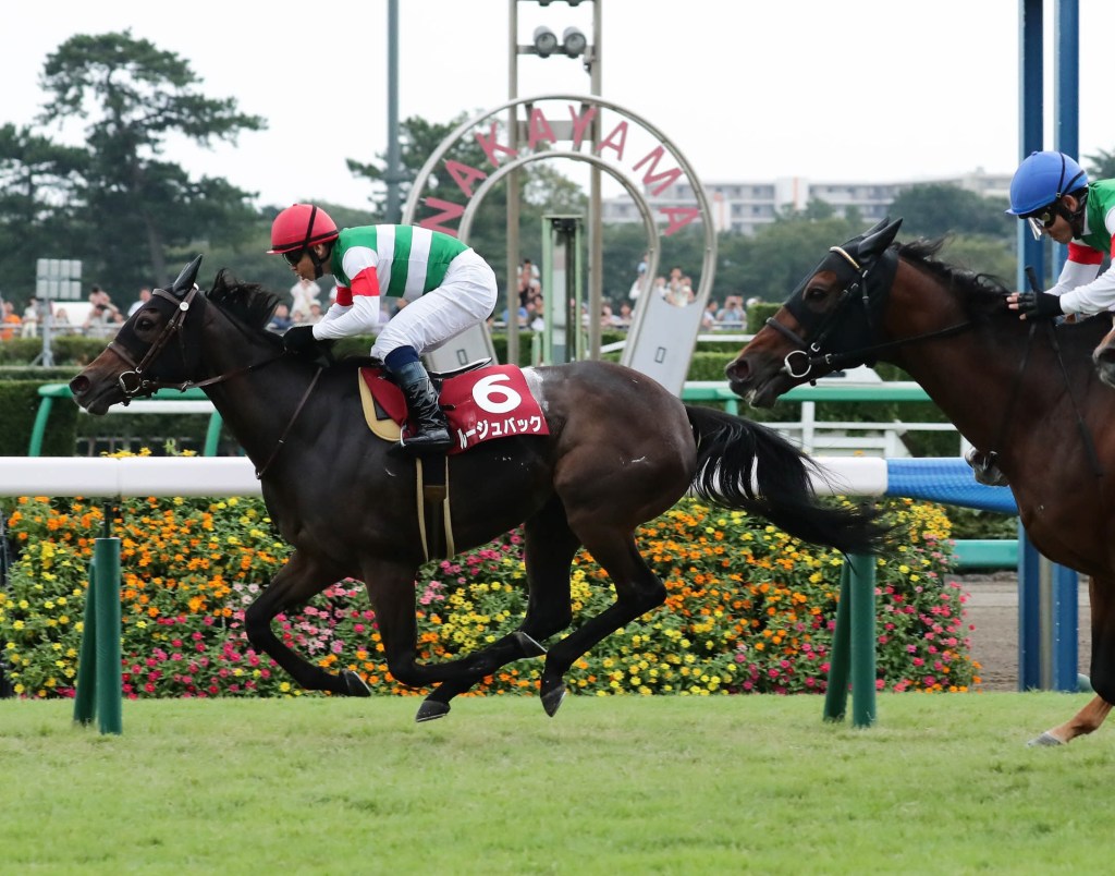 2017年11月12日女皇伊利沙伯二世盃+新加坡金盃各項賽事提供