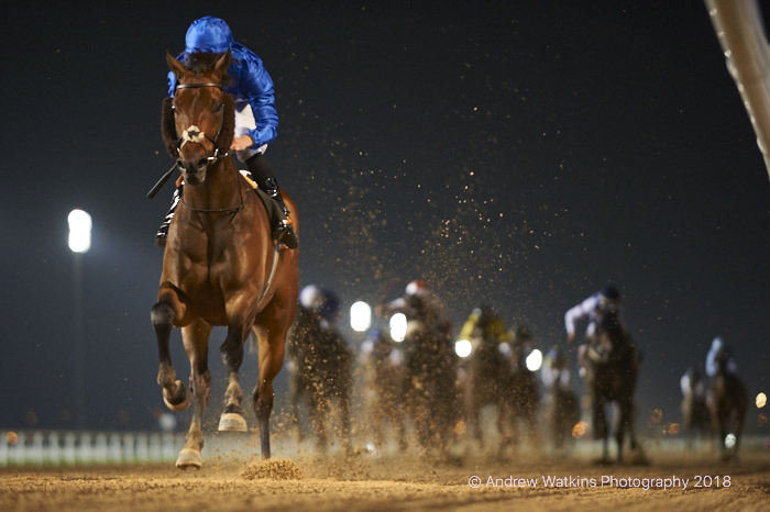 2019年2月21日杜拜星期四賽馬日全場推介（第一場第四選取代）