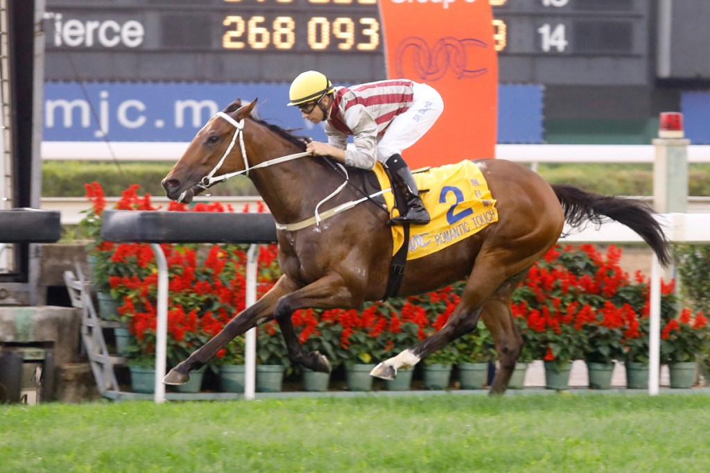 2019年3月3日澳港盃賽馬日各場提供