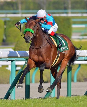 [Flameracing]有馬紀念賽眼界之三，防爆裝束黑馬機會？