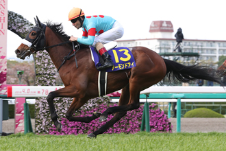 2018年10月14日秋華賞賽馬日六場全詳細推介