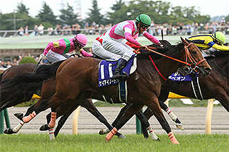 每日賽馬晚報(2021年1月27日),啟愛航海日本退役往澳洲,信雅達孩子不幸流產