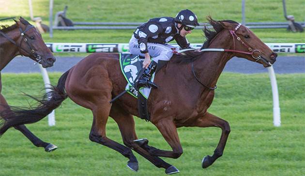 2019年5月5日賽馬日(11場田草、B跑道)