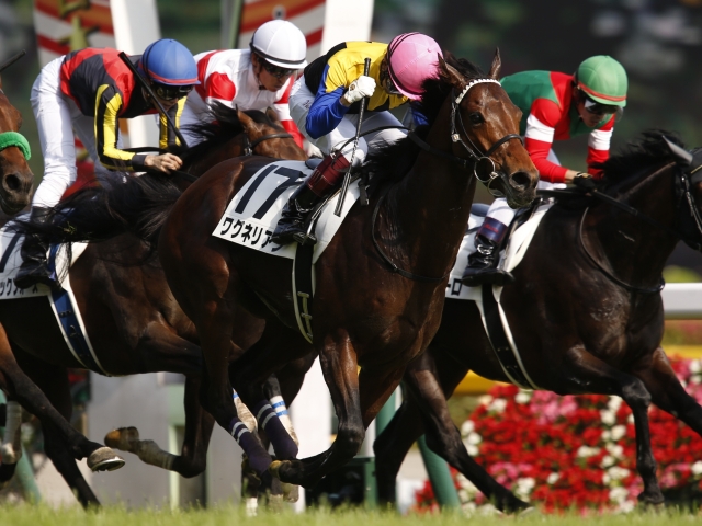 日本打吡冠軍華格納急病離世