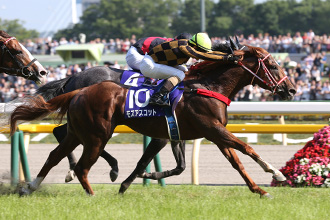 [Flameracing]育馬者盃的前夕一點不寧靜