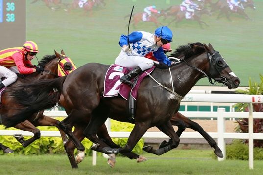 [Flameracing]卡塔爾大馬主棄將精英無敵