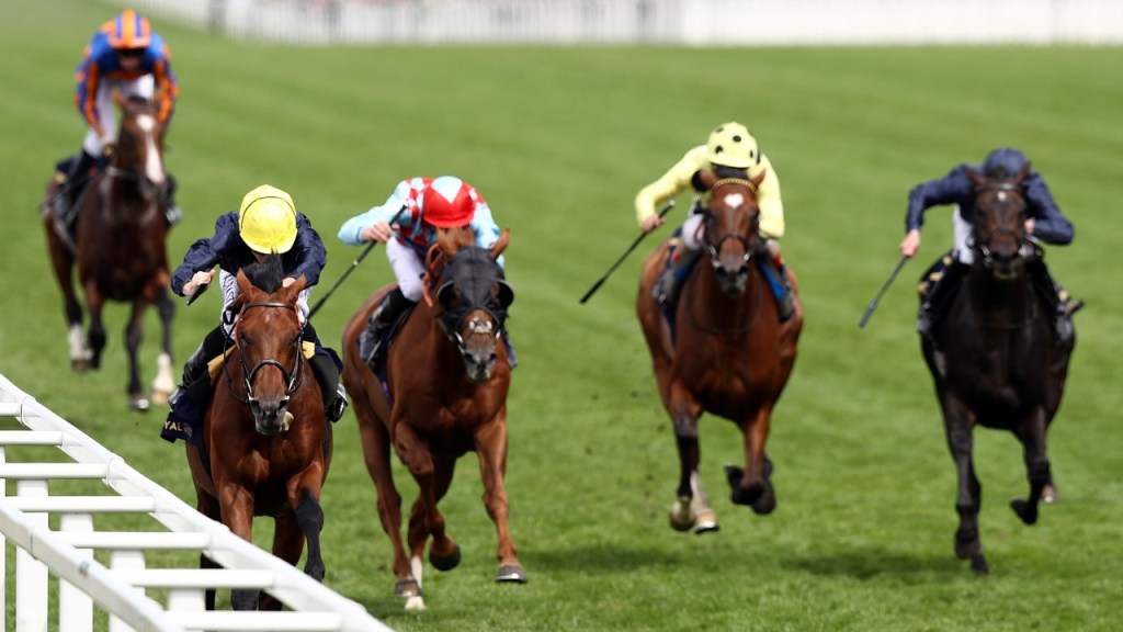 2018年10月20日冠軍錦標賽馬日各場推介