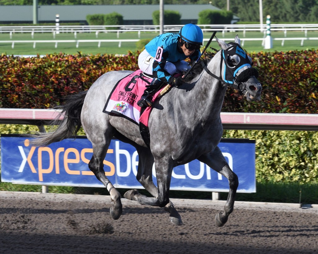 2020國際馬壇大事回顧黑幕篇，鋌而走險者仍有不少