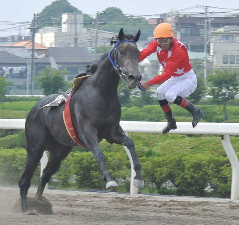 香港賽馬會品牌Happy Wednesday將與大井競馬場舉行合作活動，的場文男將訪問跑馬地馬場（愚人節特別報導）