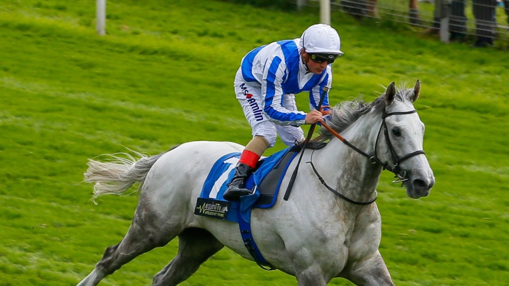 青天雷鳴不幸跑斷腳遭人道毀滅