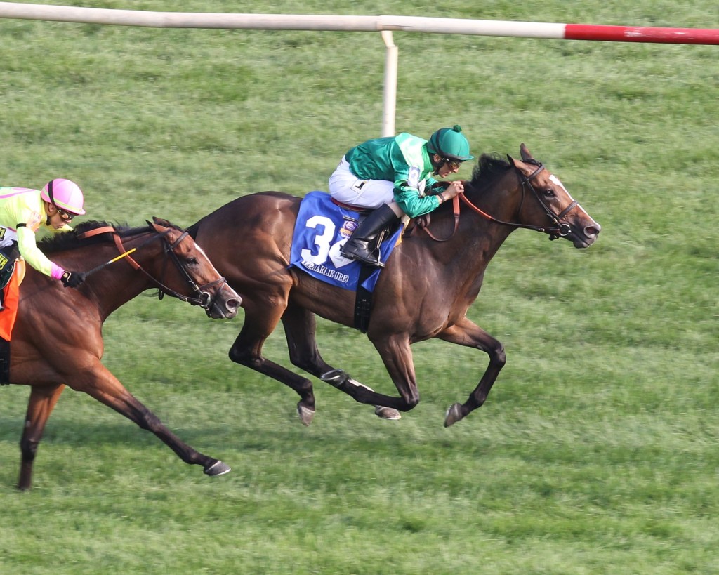 [Flameracing]育馬者盃主要賽事縱觀