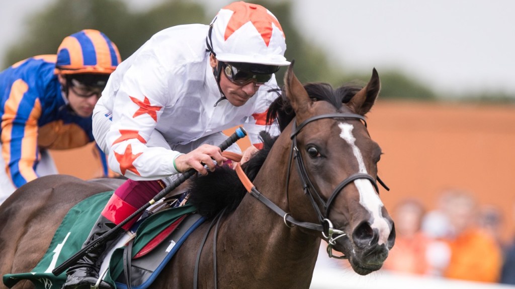 [Flameracing]二千堅尼決鬥篇，登廣告時間已到