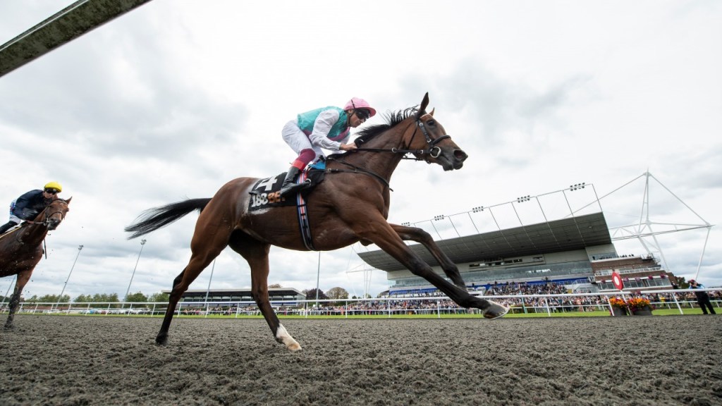 高仕登心訴成全寶棄戰伊波賽馬節原因