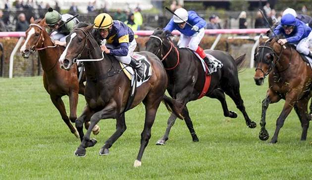 [簡訊]冠軍練馬師韋爾和被拘捕