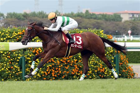 2018年11月11日海外賽事賽馬日（女皇伊利沙伯二世盃及新加坡金盃賽日六場賽事）、有更改