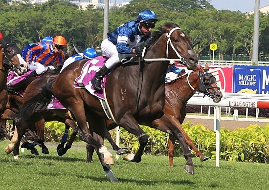 2019年11月10日新加坡金盃賽馬日各場推介（第三場有更改）