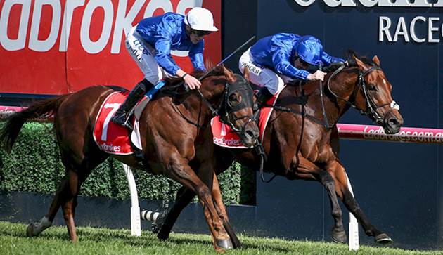 [Flameracing]拼百圖考菲爾德錦標之勝，代表什麼呢？雲絲仙子最大強敵