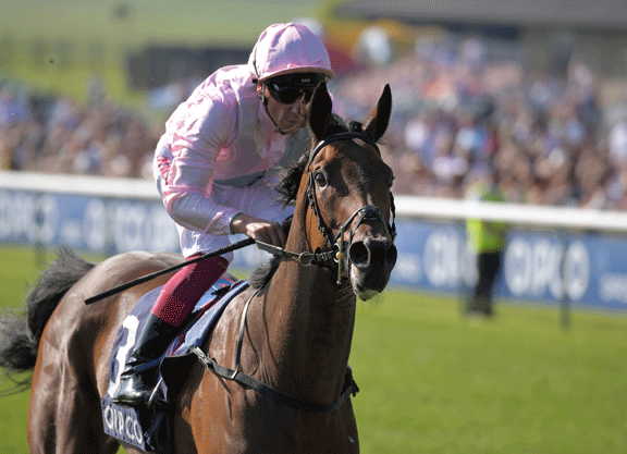 [Flameracing]冠軍錦標賽馬日登場話題雌馬拉蒂多