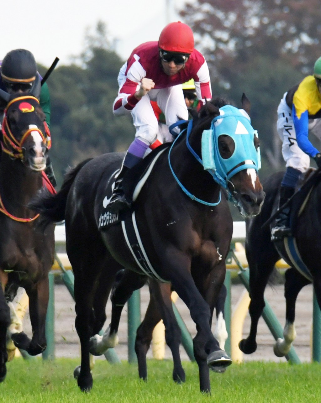 [Flameracing]Oju Chosan離有馬再進一步